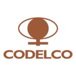 La Corporación Nacional del Cobre de Chile (CODELCO) es el principal productor de cobre a nivel global y un pilar fundamental de la minería chilena. Como socio estratégico de Cerro Nevado, hemos ejecutado contratos multidisciplinarios en diversas divisiones, destacando nuestra capacidad para operar bajo los más altos estándares de seguridad y eficiencia técnica exigidos por la estatal. Nuestra trayectoria con Codelco incluye obras críticas de infraestructura, servicios de movimiento de tierras masivos y montajes industriales diseñados para asegurar la continuidad operacional de sus activos mineros más emblemáticos.