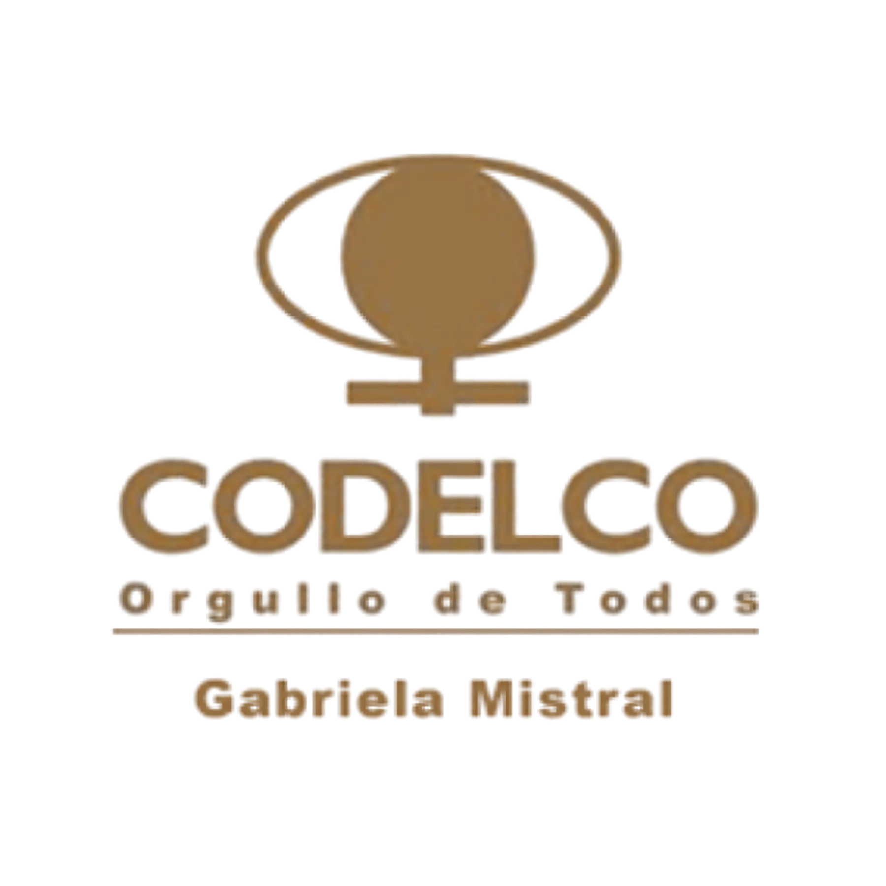 Operación caracterizada por su innovación tecnológica. Cuenta con servicios de construcción y montajes industriales de Cerro Nevado alineados con sus altos estándares de eficiencia.