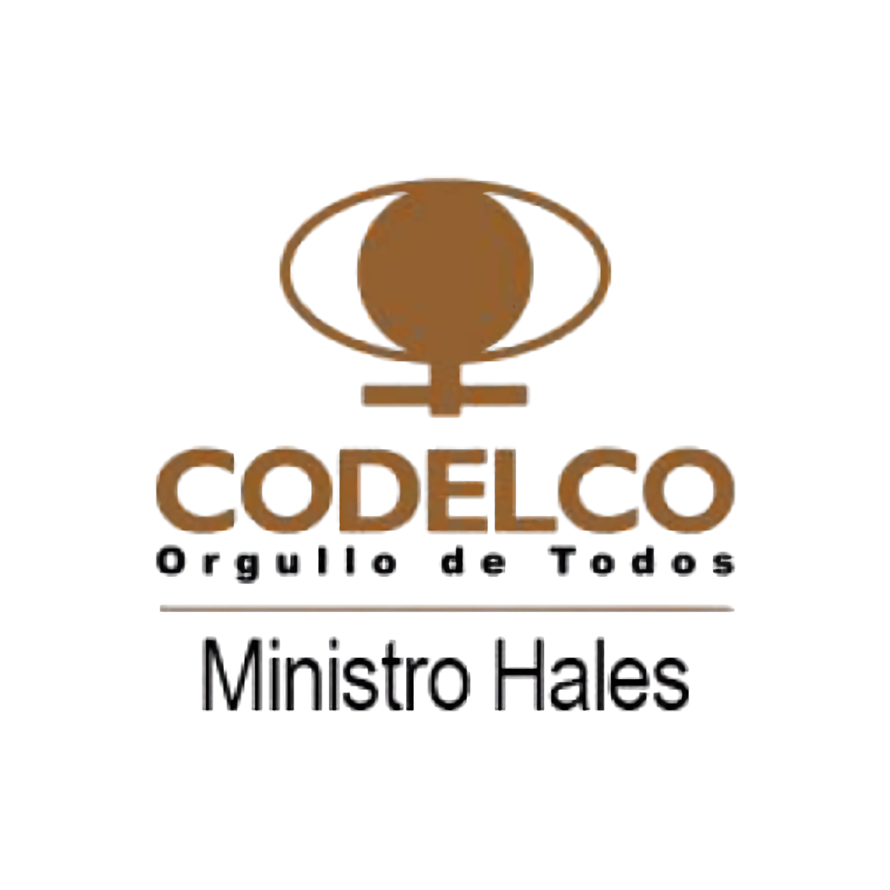 División estratégica de Codelco cercana a Calama. Se desarrollan montajes y obras civiles de alta complejidad para sus procesos de tostación y concentración de cobre.